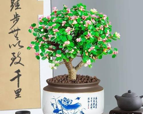 金枝玉叶（从古至今）