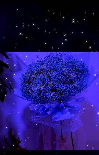 蓝色满天星花的花语与寓意（揭秘蓝色满天星花的隐含寓意与象征意义）