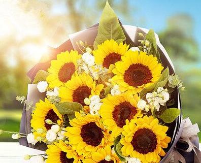 男生生日送什么花好（15种送花方式）