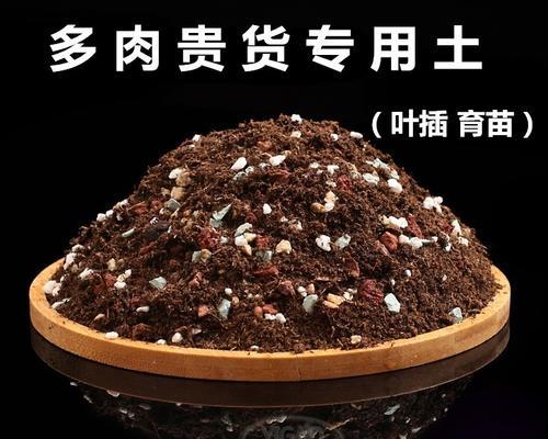 探究泥炭土适合种植哪些植物（了解泥炭土的特点及其优势）