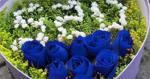 21朵玫瑰的花语及寓意（用21朵玫瑰向爱人表达深深的情感）