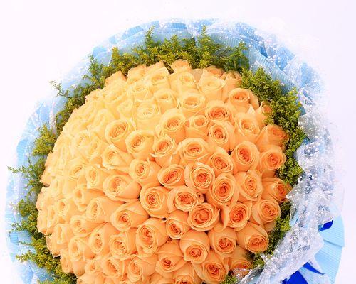 香槟玫瑰花语的含义（揭秘香槟玫瑰所传递的情感与心意）