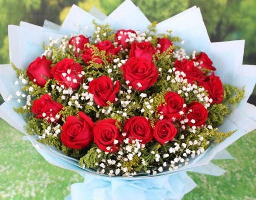 25朵玫瑰花语的意义与传说（探索玫瑰的深意）
