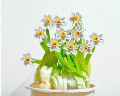 水仙并不是水生植物（水仙的真正生长环境与特性）