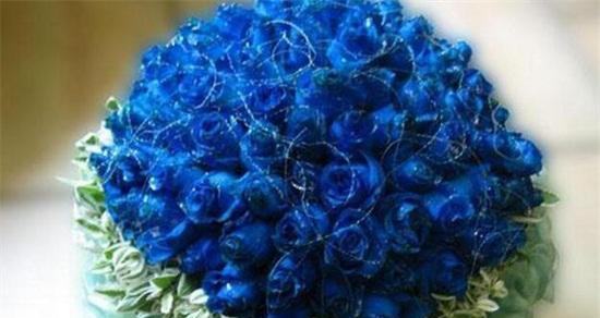 蓝色妖姬花的花语与寓意（探寻蓝色妖姬花的神秘内涵）