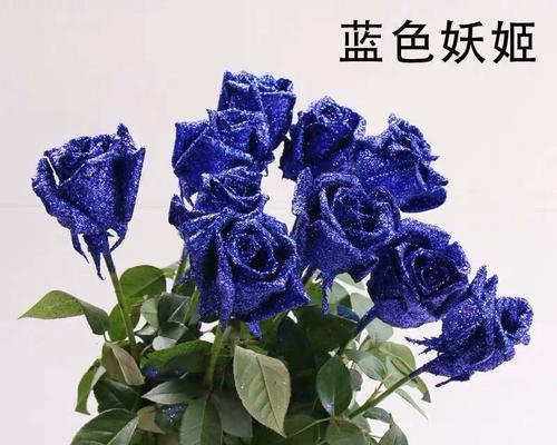 蓝色妖姬（探索蓝色妖姬的寓意与意义）