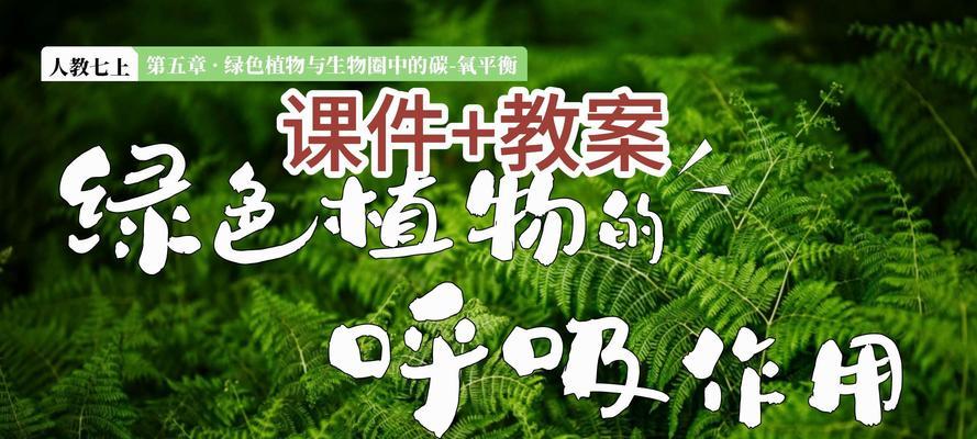 植物呼吸作用的重要性（为什么植物需要呼吸）