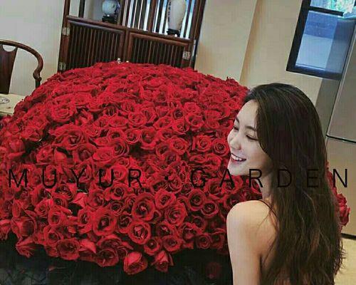 九朵玫瑰花的象征意义（探究九朵玫瑰花所代表的情感和寓意）
