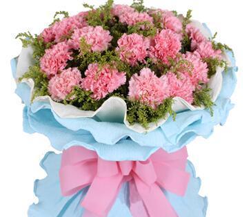康乃馨之美（探索康乃馨的花语与象征意义）
