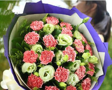 以康乃馨送人的寓意及象征意义（深情的花朵传递真挚情感）
