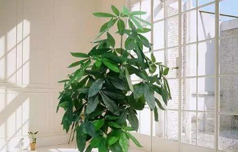 打造舒适温馨的家居环境（打造舒适温馨的家居环境）
