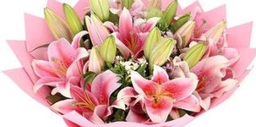 以康乃馨花代表早日康复（花开春暖）