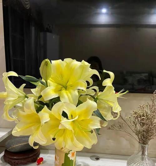 黄天霸百合花——花开芬芳，花语寓意深远（探秘黄天霸百合花的美丽与花语）