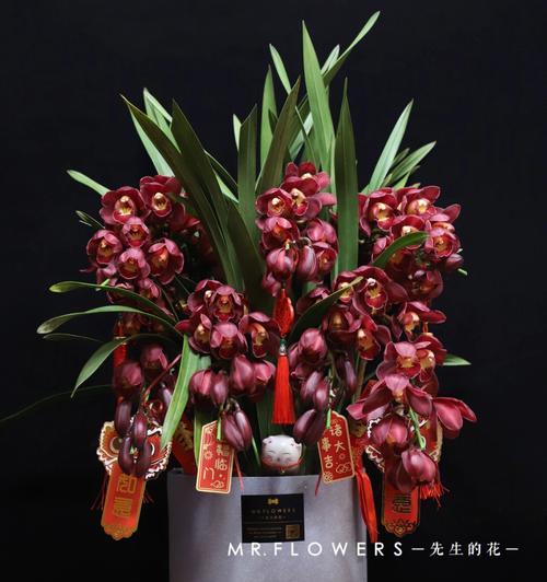 蕙兰花的花语和象征意义（探寻蕙兰花所代表的美好情感与祝福）