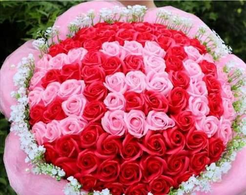 19朵玫瑰花语的深刻含义（探寻19朵玫瑰背后的情感世界）