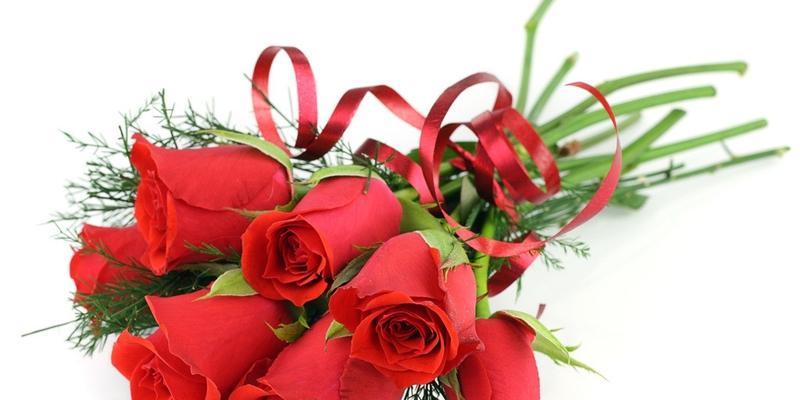 花开寓意——揭秘26朵玫瑰花语的奥秘（一束玫瑰透露的真情与祝福）