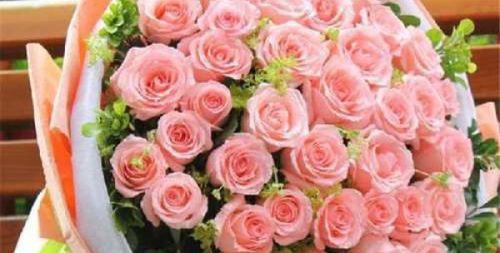 33朵玫瑰花花语的深层寓意（探寻33朵玫瑰花的神秘花语）
