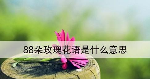 35朵玫瑰花语的深刻寓意（表达独特情感的35朵玫瑰花束）