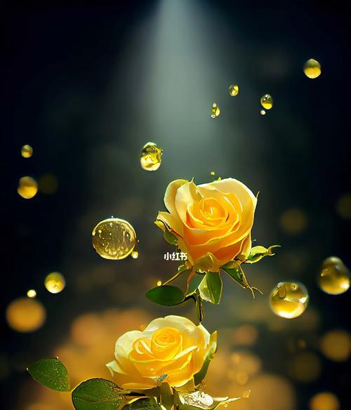 黄玫瑰花语（以黄玫瑰花语探寻幸福和友谊的深层意义）