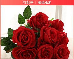 九朵玫瑰花的寓意与象征意义（玫瑰花代表的9种情感和含义）