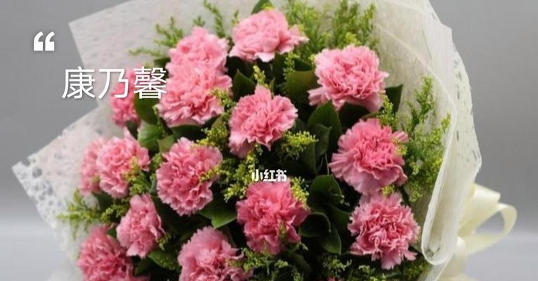 康乃馨的象征意义（揭示康乃馨的神秘力量与含义）