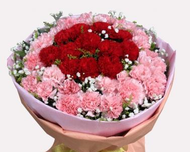 康乃馨朵数所代表的意思——美丽与爱的象征（祝福与感恩）