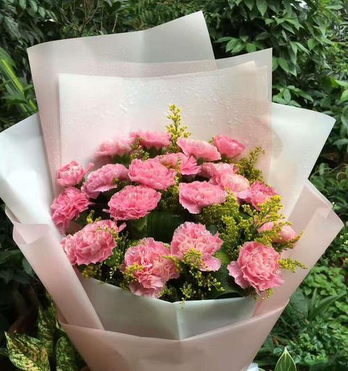 康乃馨花束的寓意与意义（解读康乃馨花束的象征与表达）