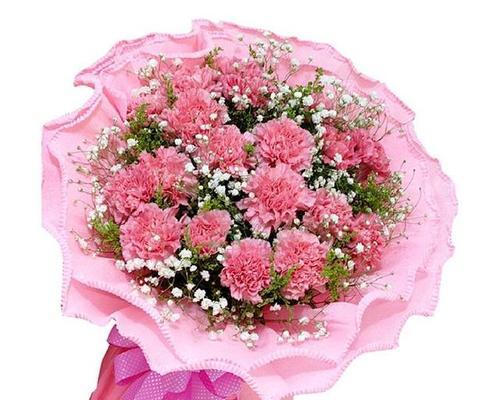 康乃馨花语（探寻康乃馨花语的深层内涵）