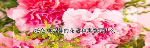 康乃馨花语（美丽花朵背后的深刻寓意）