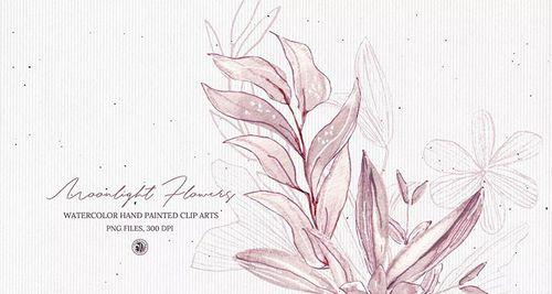 月光花的花语——展示生命之美（探索月光花的花语）