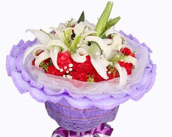 紫色康乃馨的花语与寓意（康乃馨花语传递爱与温暖）