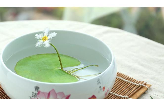 一叶莲的正确养殖方法（打造美丽水景）