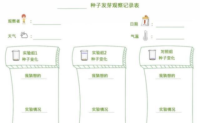 伊乐藻种子播种方法详解（从选种到收获）