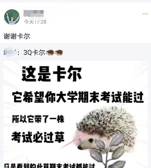 遗忘草——神奇的记忆调节植物（从原产地到作用机制）