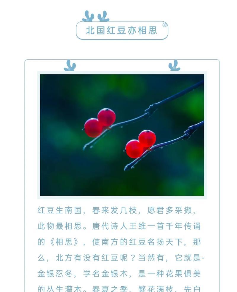 银杏的药用价值（了解银杏的医疗功效与药物作用）