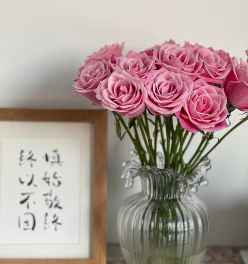 泰姬玫瑰花语（一朵花的背后）