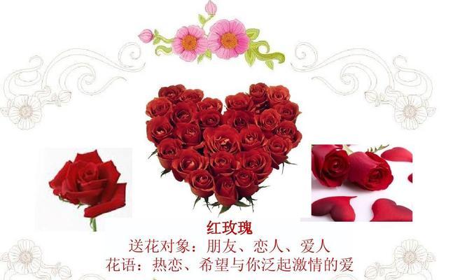 红色玫瑰花语与情感的表达（红色玫瑰的浓情蜜意）