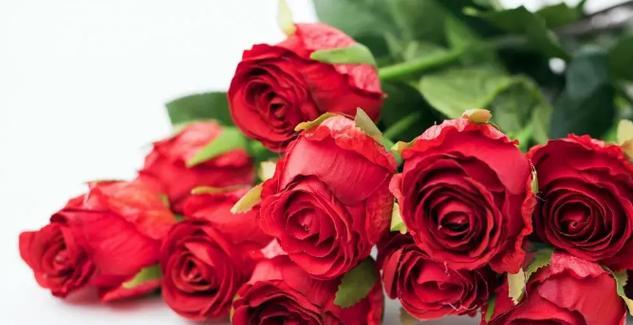 1朵玫瑰花的花语——爱与美的象征（用花语传达心意）
