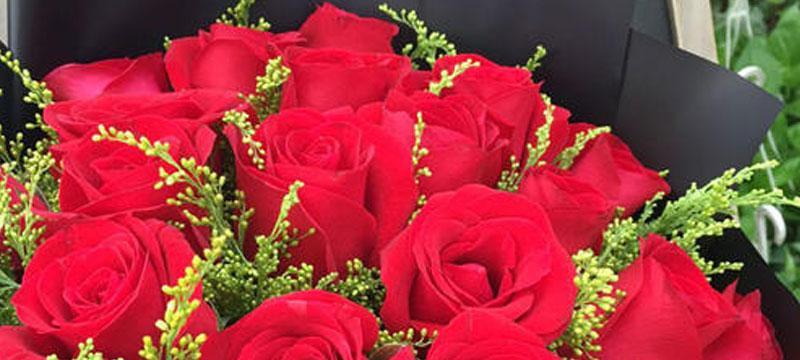 三朵玫瑰花语（红玫瑰、白玫瑰、黄玫瑰）