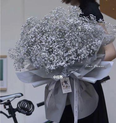 满天星花语和寓意是什么？满天星的特殊含义有哪些？