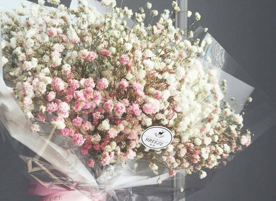 满天星花语和寓意是什么？满天星的特殊含义有哪些？