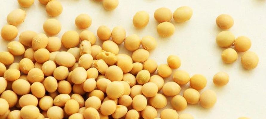 大豆是碳水化合物吗？了解大豆的营养成分和分类