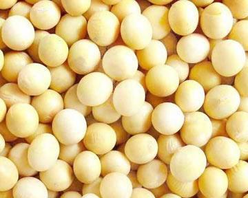 大豆是碳水化合物吗？了解大豆的营养成分和分类