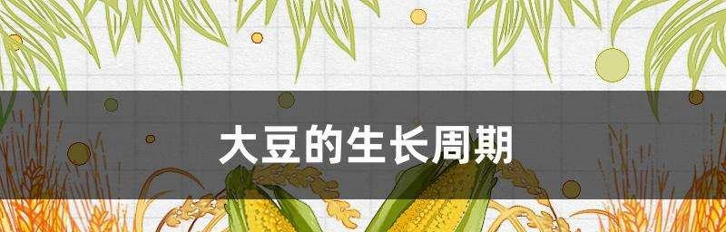 大豆种植和收获的最佳时间是什么时候？常见问题有哪些？