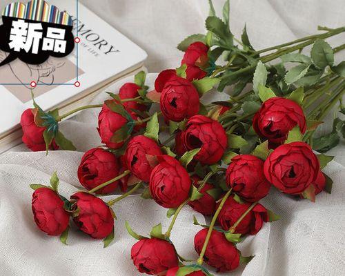 玫瑰花代表什么？不同颜色玫瑰的花语有哪些？