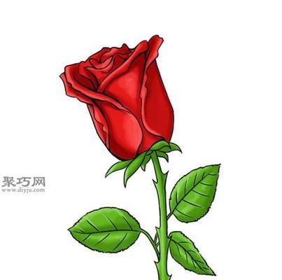 玫瑰花颜色的寓意都是什么？不同颜色代表了哪些情感？