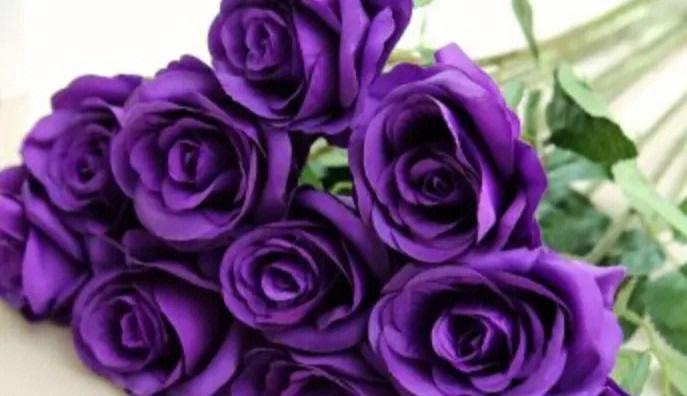 玫瑰花语多少朵代表什么？不同数量玫瑰花的含义是什么？