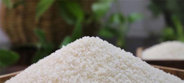 大米如何正确储存？防止受潮和虫害的最佳技巧是什么？