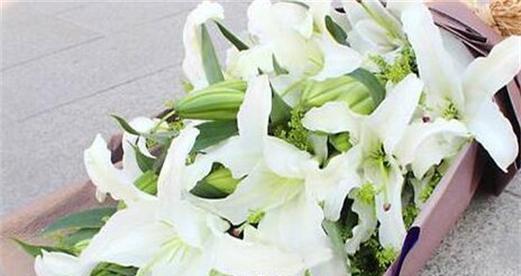 圣心百合花语是什么？了解其独特含义和象征意义？