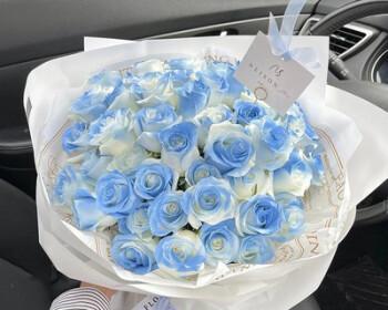 十一朵碎冰蓝代表什么含义？花语和象征是什么？